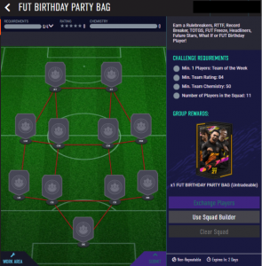 FUT BIRTHDAY PARTY BAG